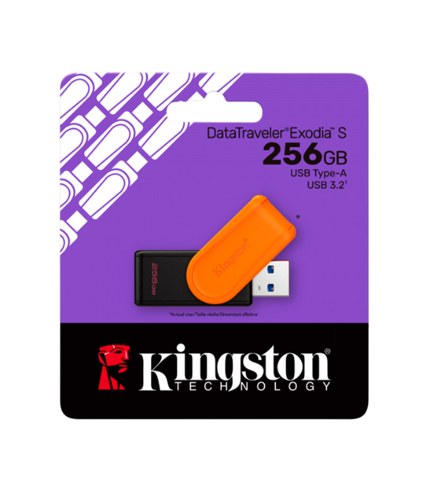 MEMORIA USB KINGSTON DTXS/256GB: USB FLASH DRIVE - USB 3.2 GEN 1