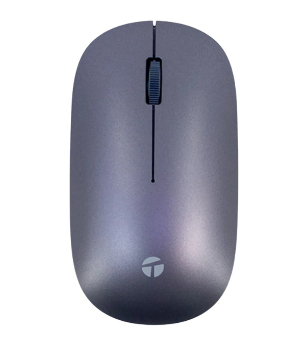 Mouse Inalámbrico Teros TE-1230CS Dual 1200DPI BT5.0