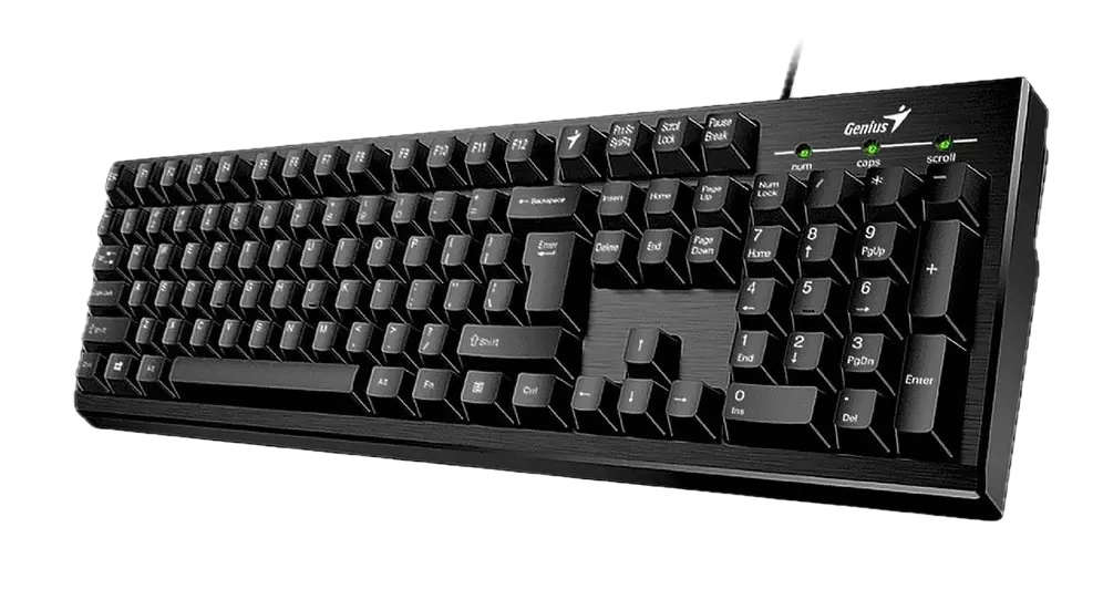 Teclado Genius KB-100X USB Negro
